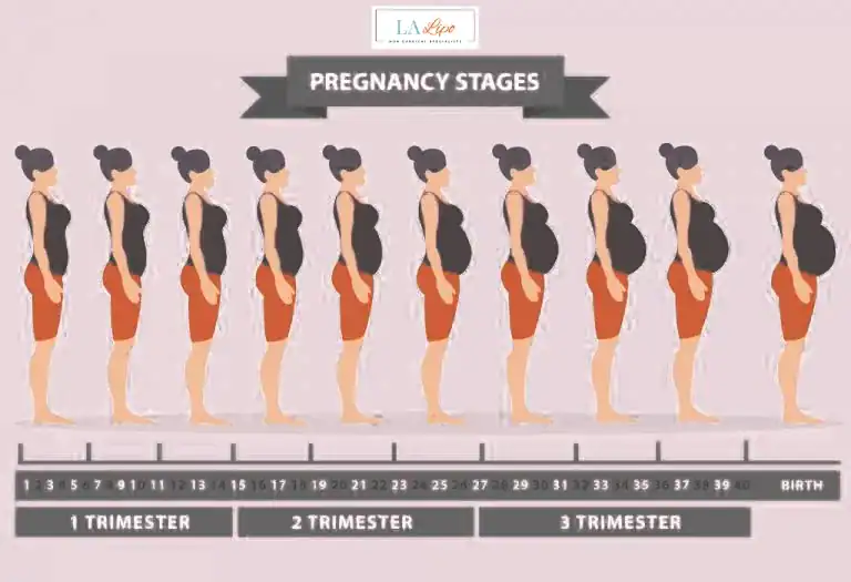 First Trimester (Weeks 1–12): Early Changes You Might Not Notice Warrington